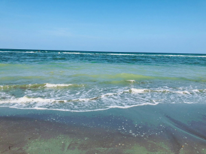 le spiagge più belle