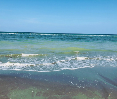 le spiagge più belle