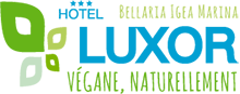 Hotel Luxor***